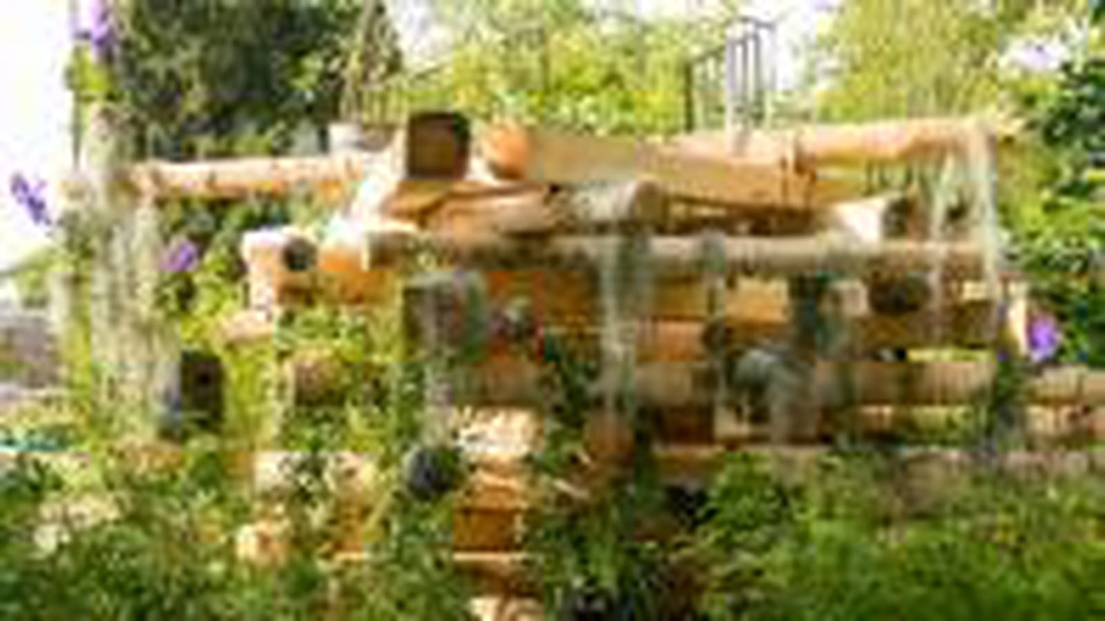 Jardin d'Essai 2013 de l'OTJ