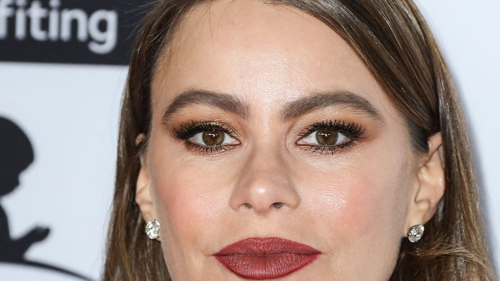 Le regard mordoré de Sofia Vergara