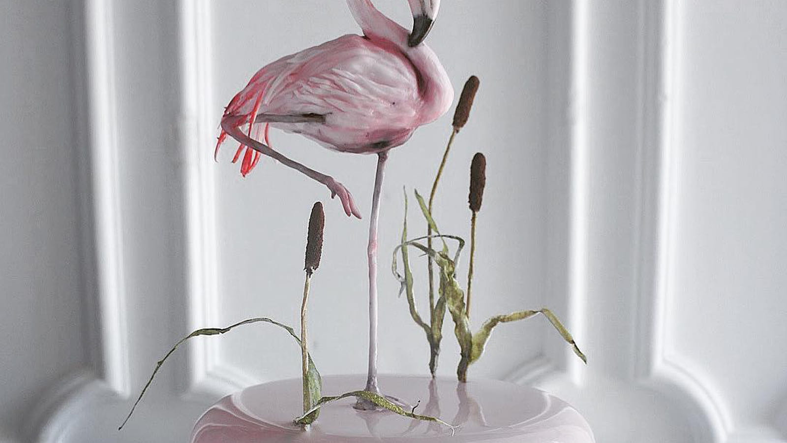 Flamant élégant