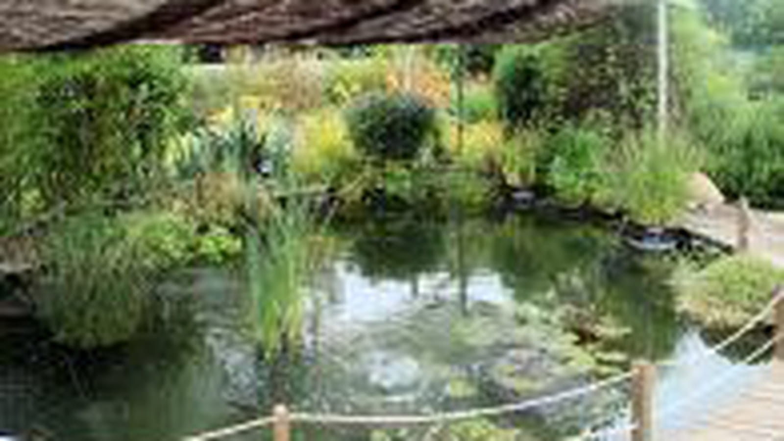 Grand bassin
