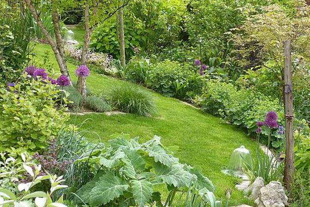 Des alliums dressés pour adoucir la pente