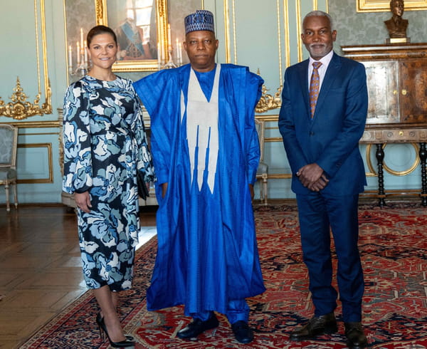 victoria-de-suede-vice-president-nigeria