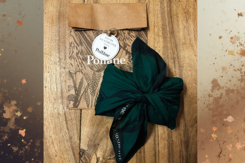 Petite Mendigote X Poil&acirc;ne