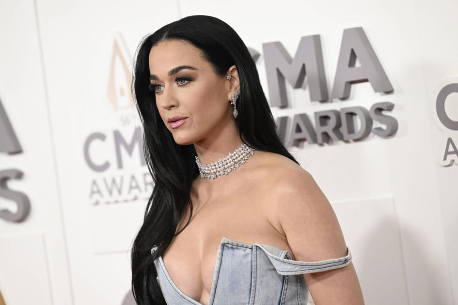 Top&nbsp;: La chevelure XXL de Katy Perry