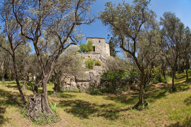 Une oliveraie avec chapelle