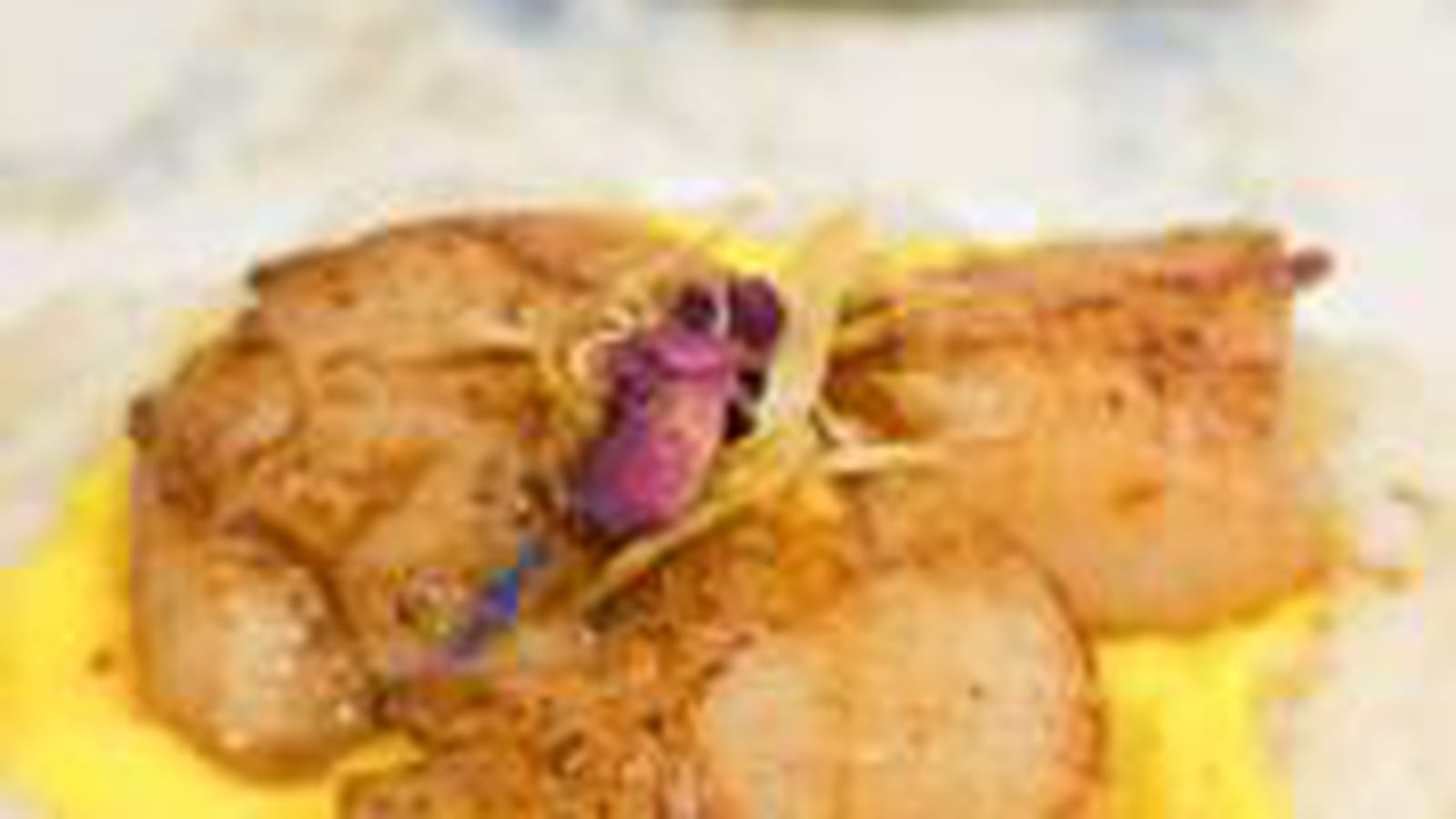 Saint-Jacques sauce au safran