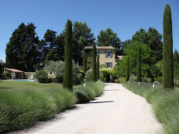 Lavande et cypr&egrave;s en Provence