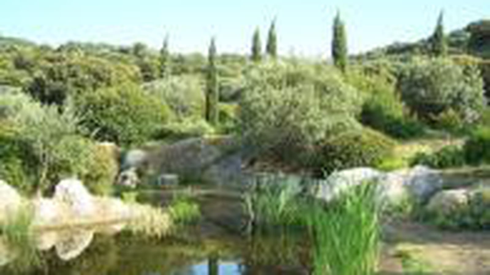 Bassins