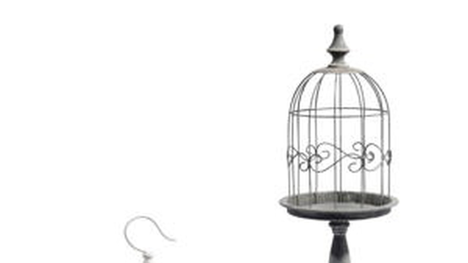 Cages à oiseaux 