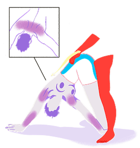 Position sexuelle gainage chien tête en bas