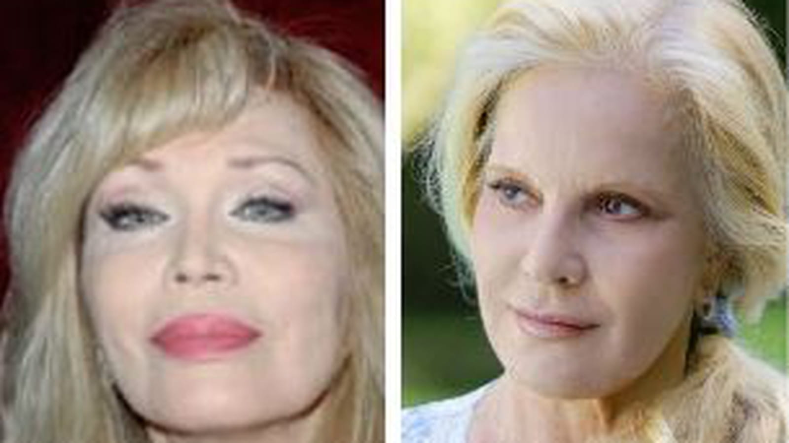 Amanda Lear et Sylvie Vartan