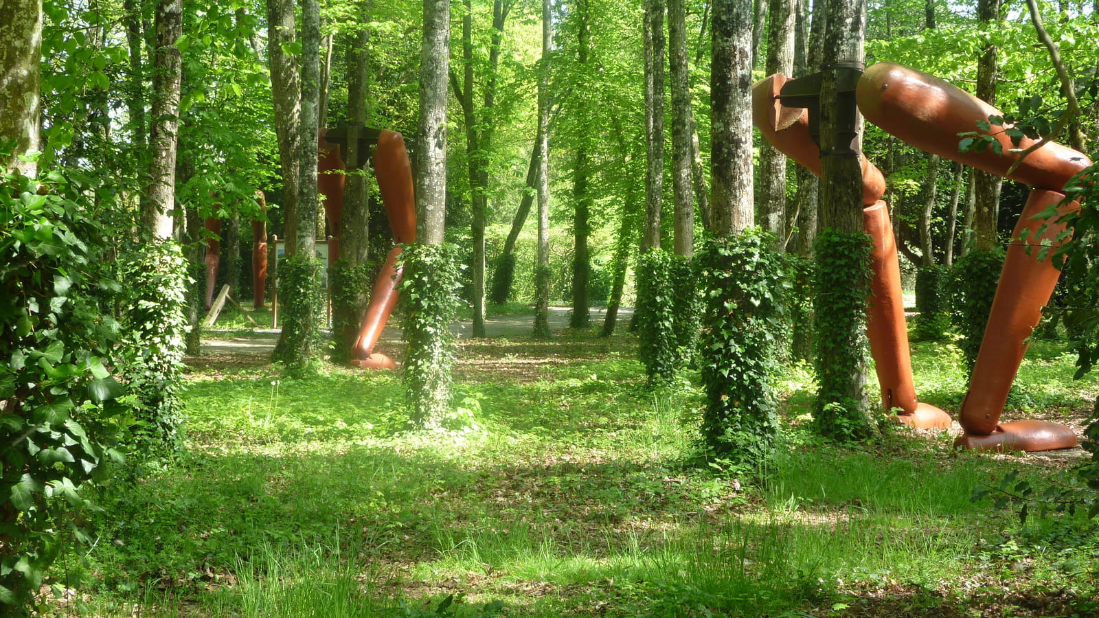 La Forêt qui Court
