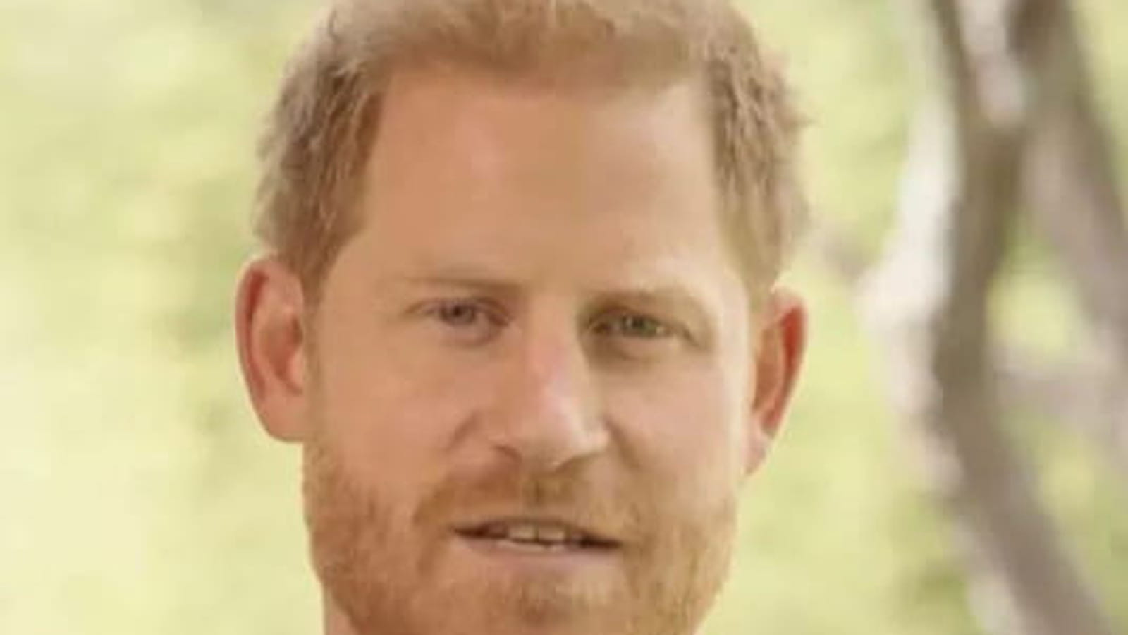 Prince Harry