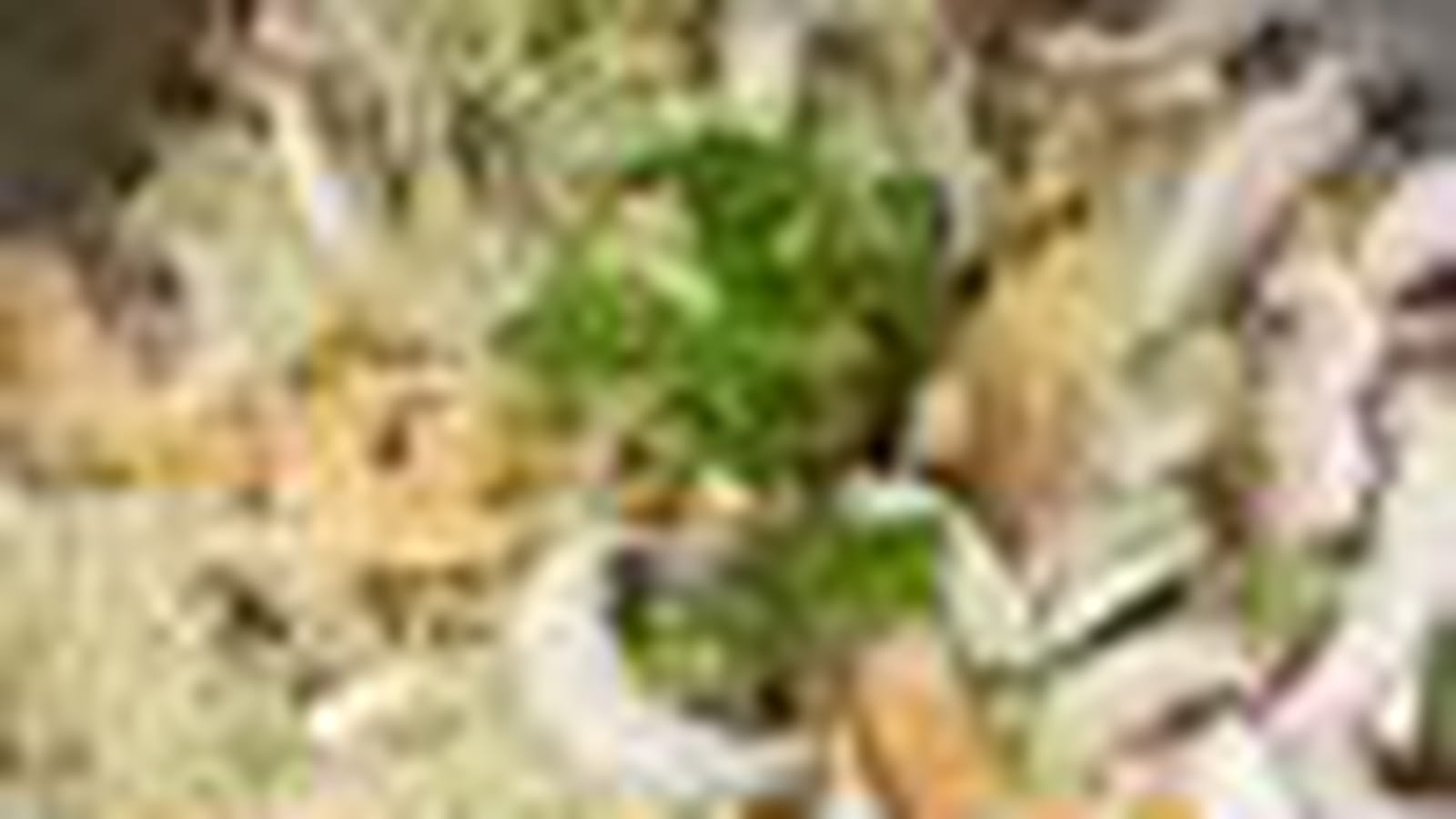 Salade minceur