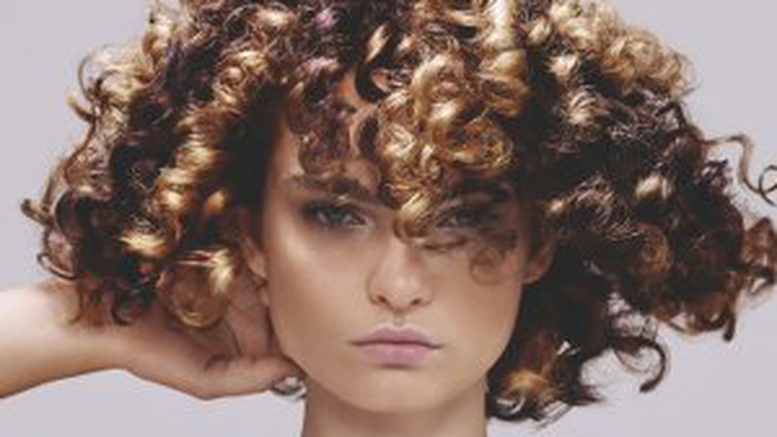 Le brun chocolat de Schwarzkopf