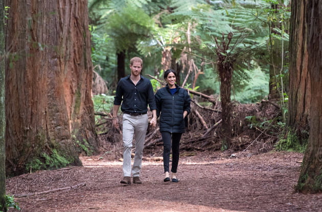 Prince Harry et Meghan Markle : "promenons-nous dans les bois"