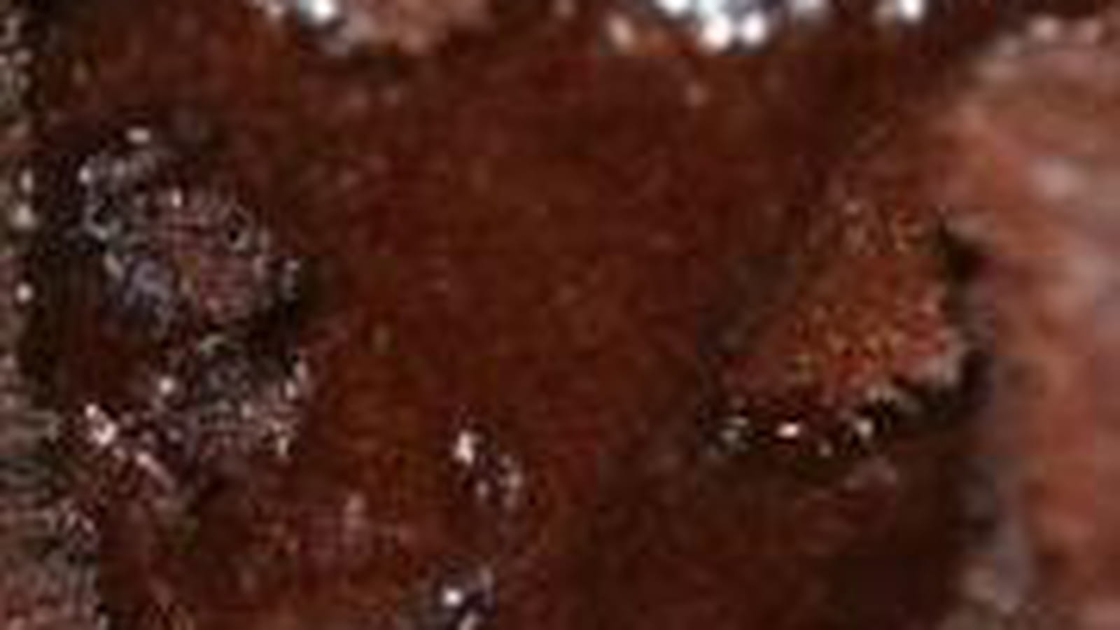 Fondant au chocolat