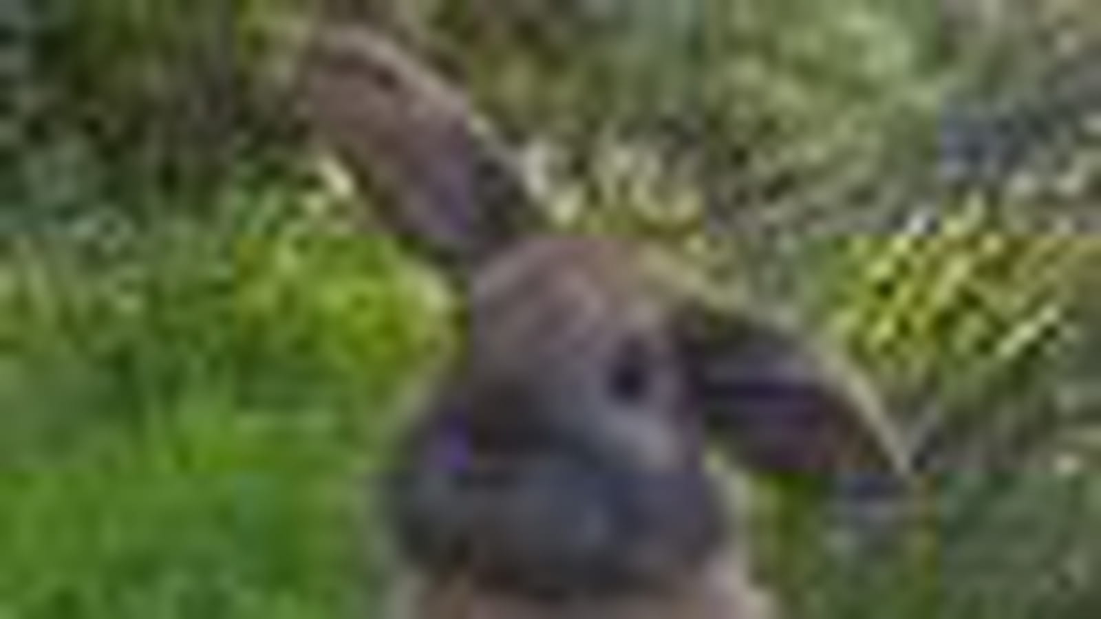 Chocapic
