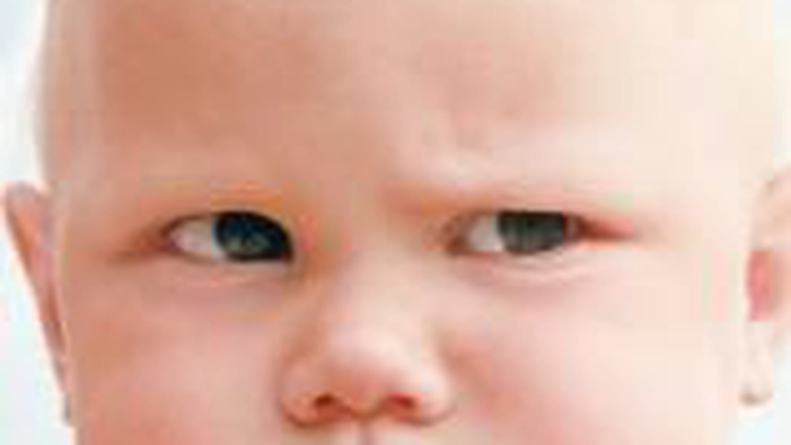Ulysse