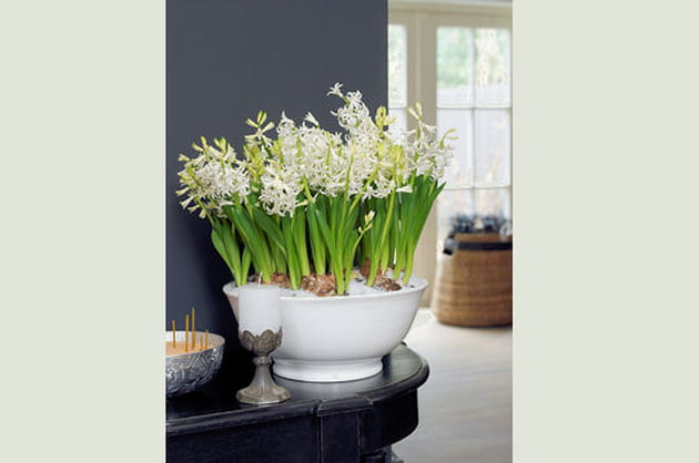 El&eacute;gance et distinction