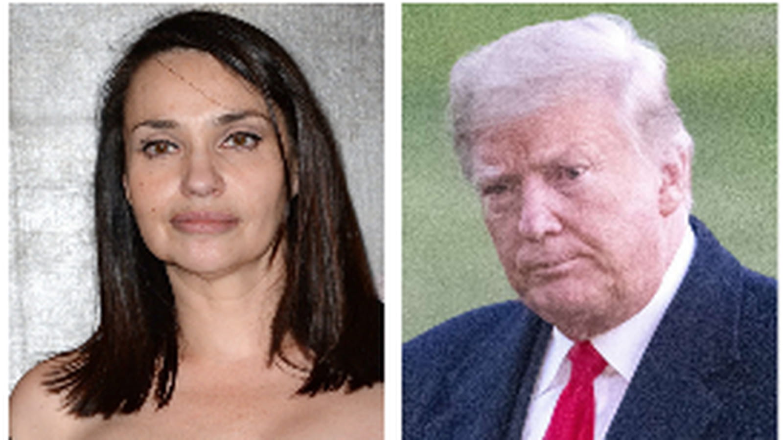 Béatrice Dalle et Donald Trump