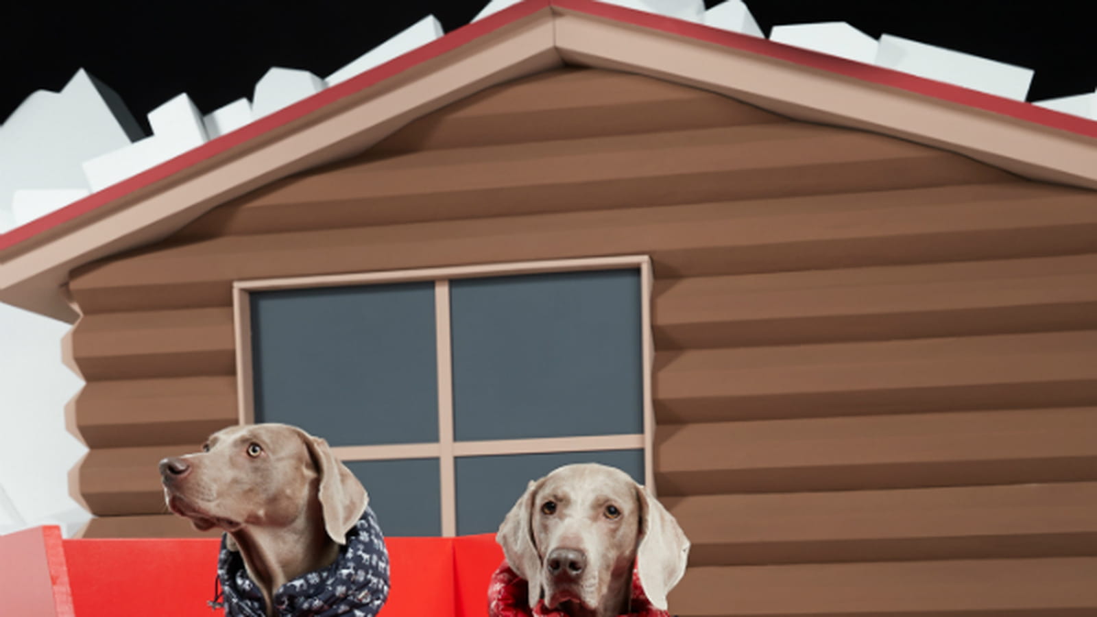Moncler X Poldo Dog Couture