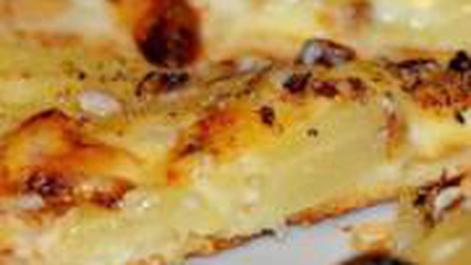 Tartelette fine aux poires et reblochon