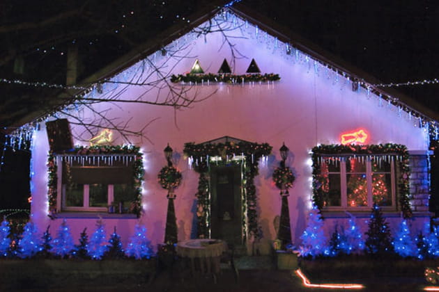 Maison aux sapins bleus