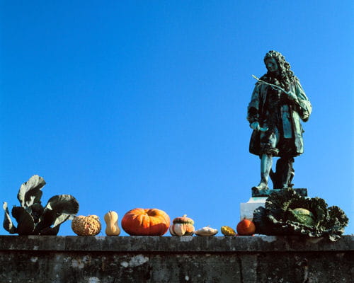 recadrepotager du roi versailles jean bap