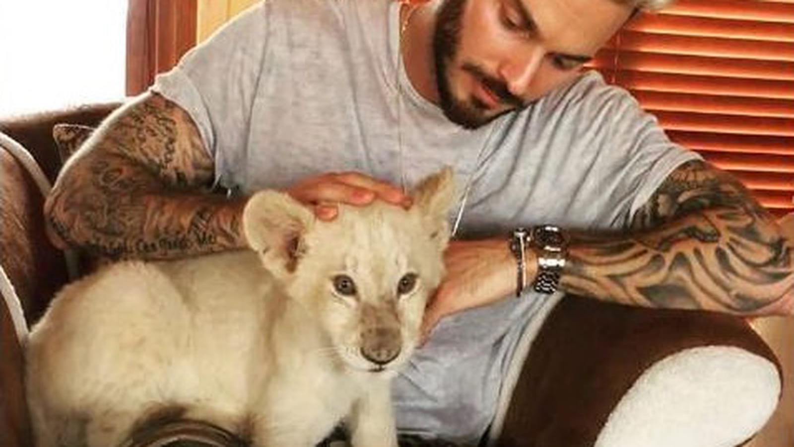 M Pokora