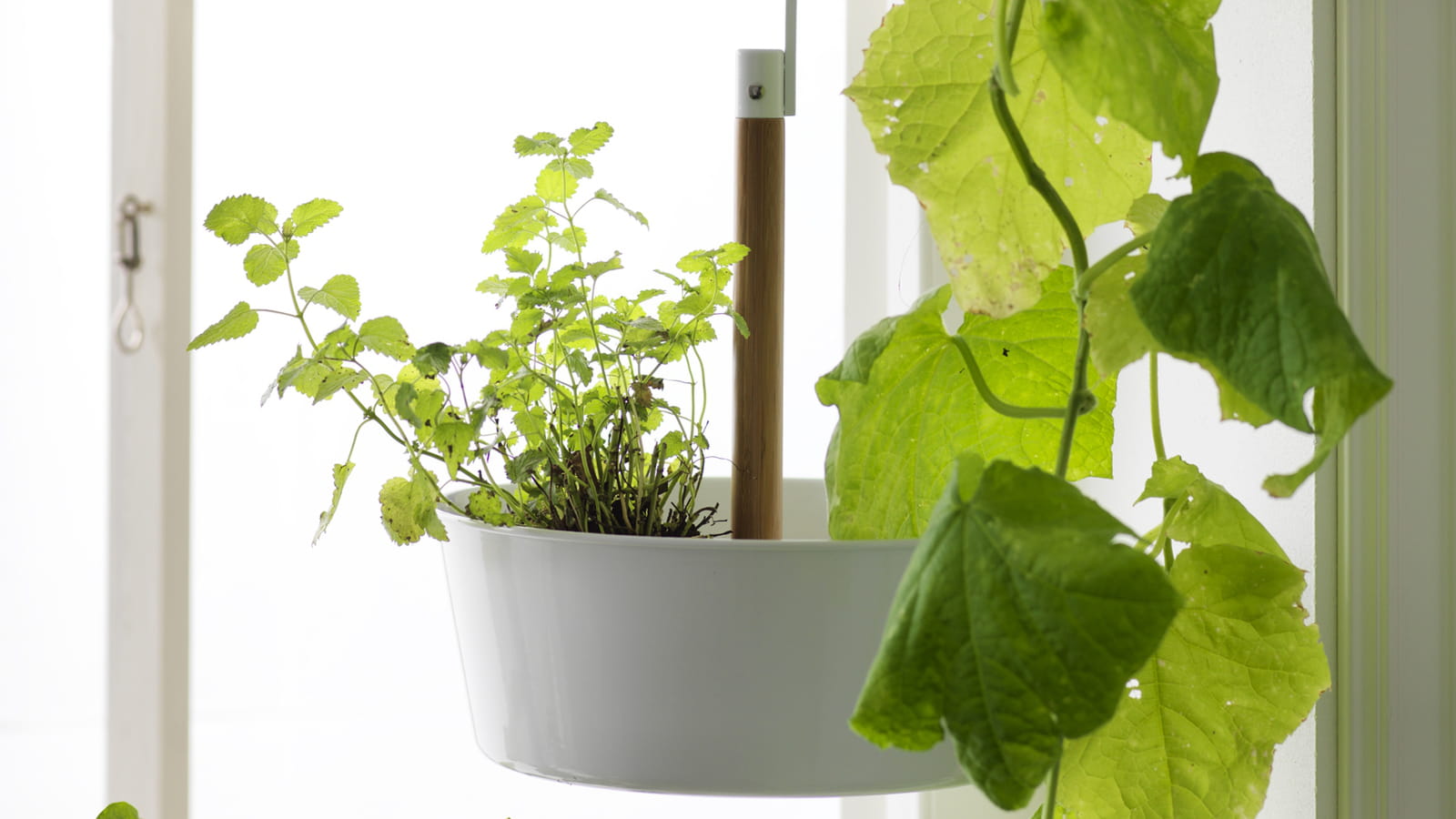 Jardinière suspendue d'IKEA