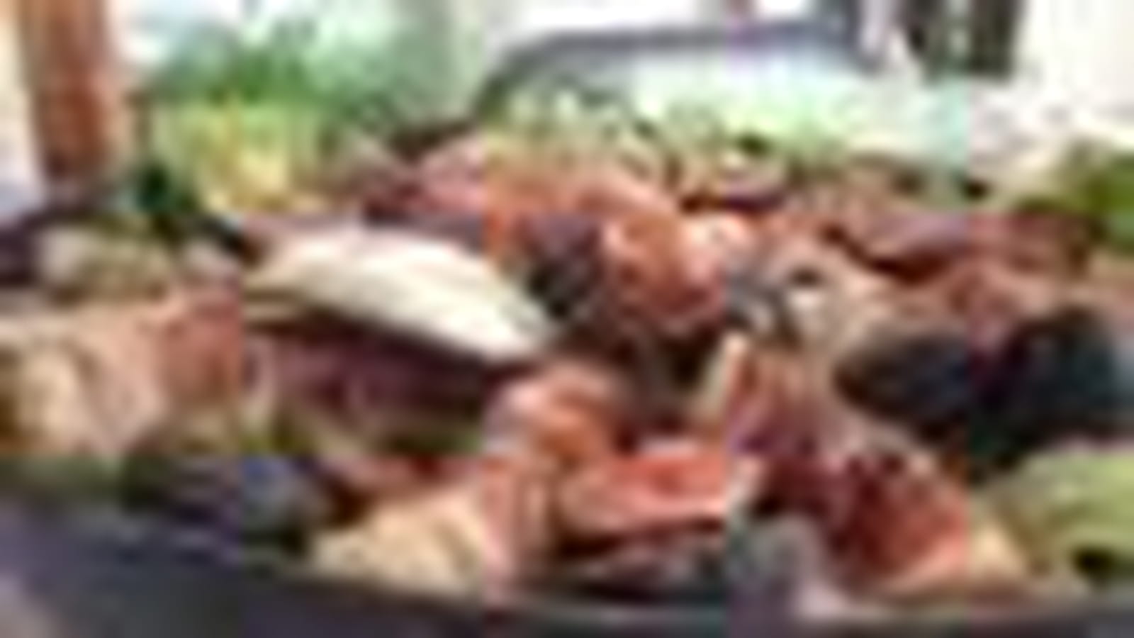 Salade aux figues et jambon de pays