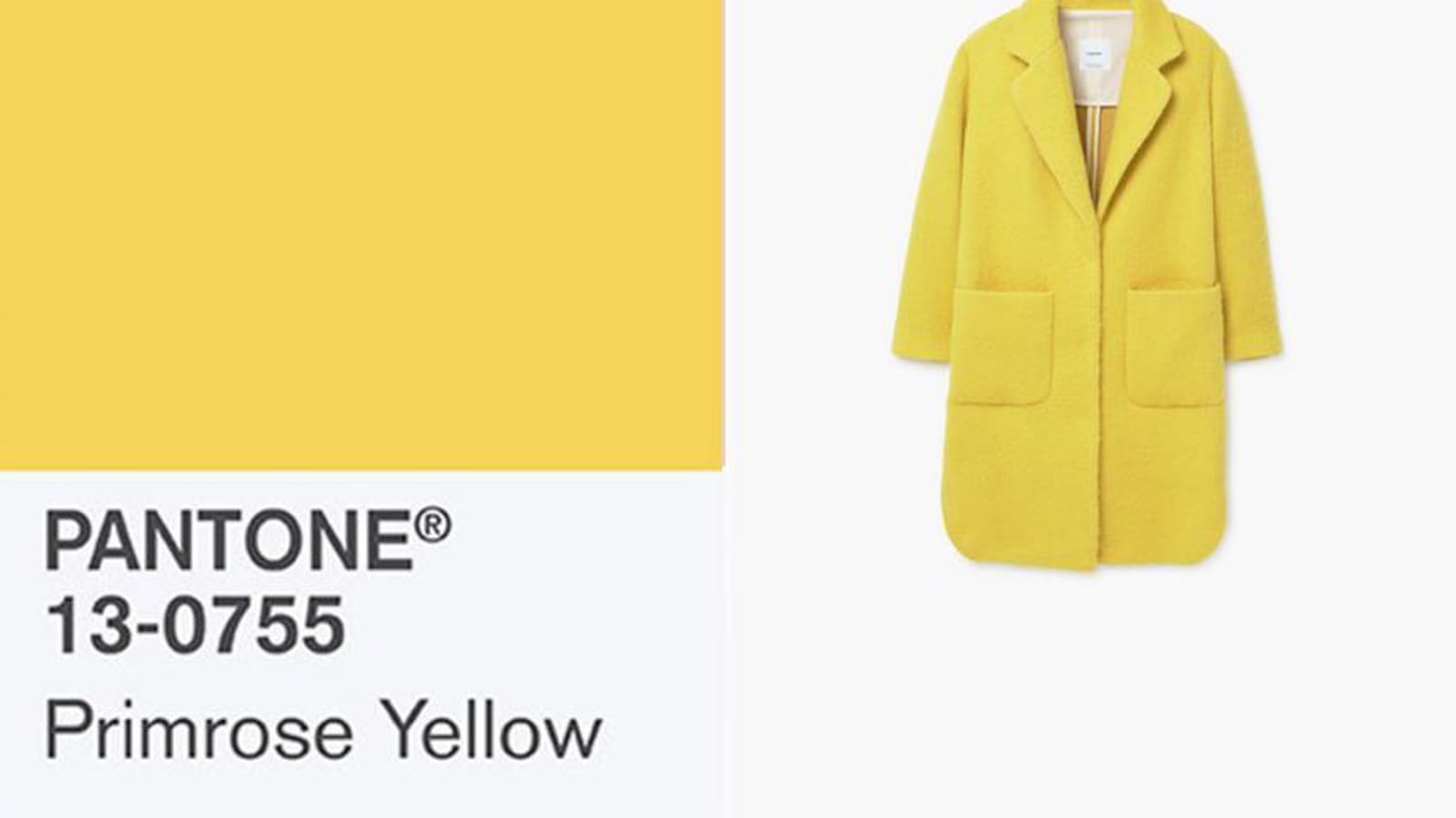 Pimrose Yellow