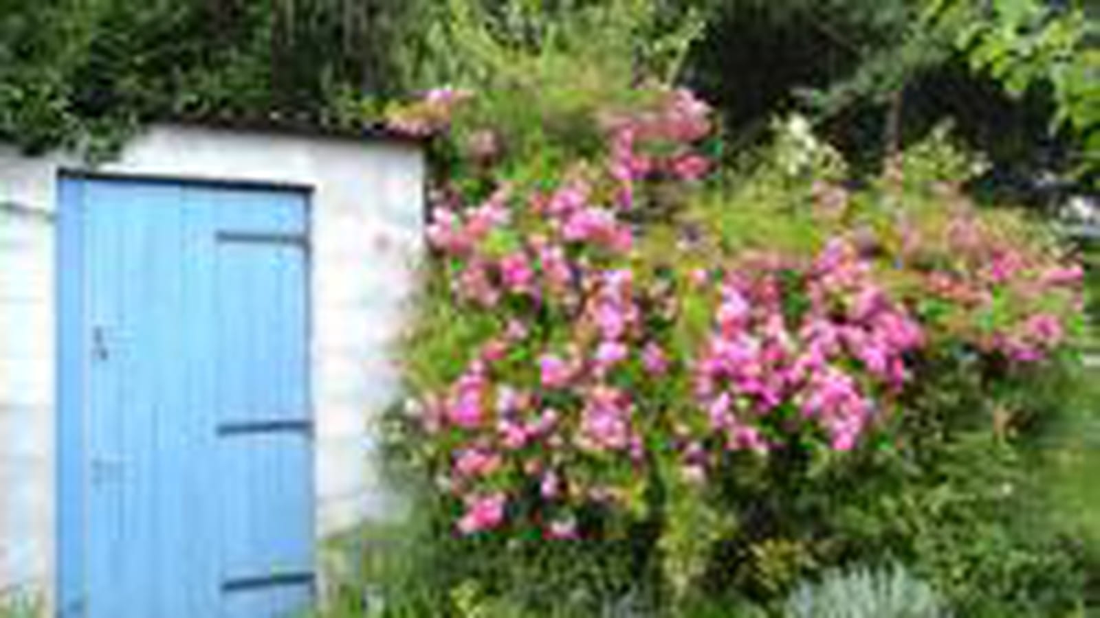 Cabane à porte bleue