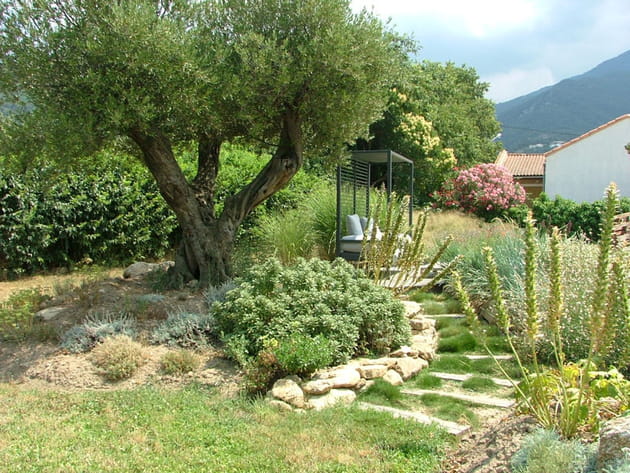Une all&eacute;e de jardin en pente am&eacute;nag&eacute;e
