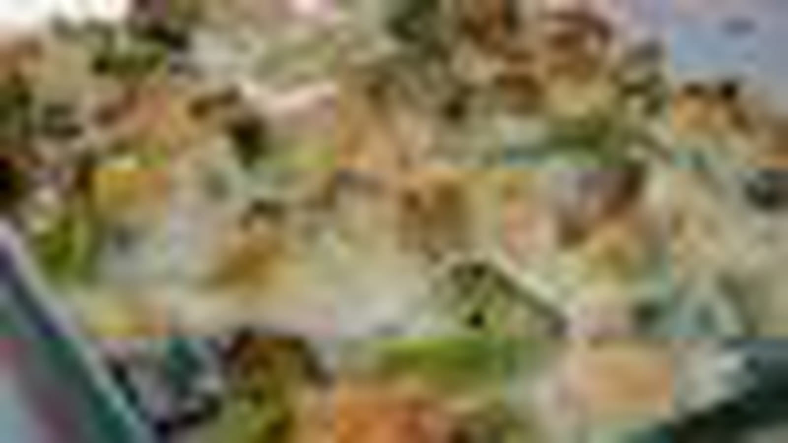 Gratin