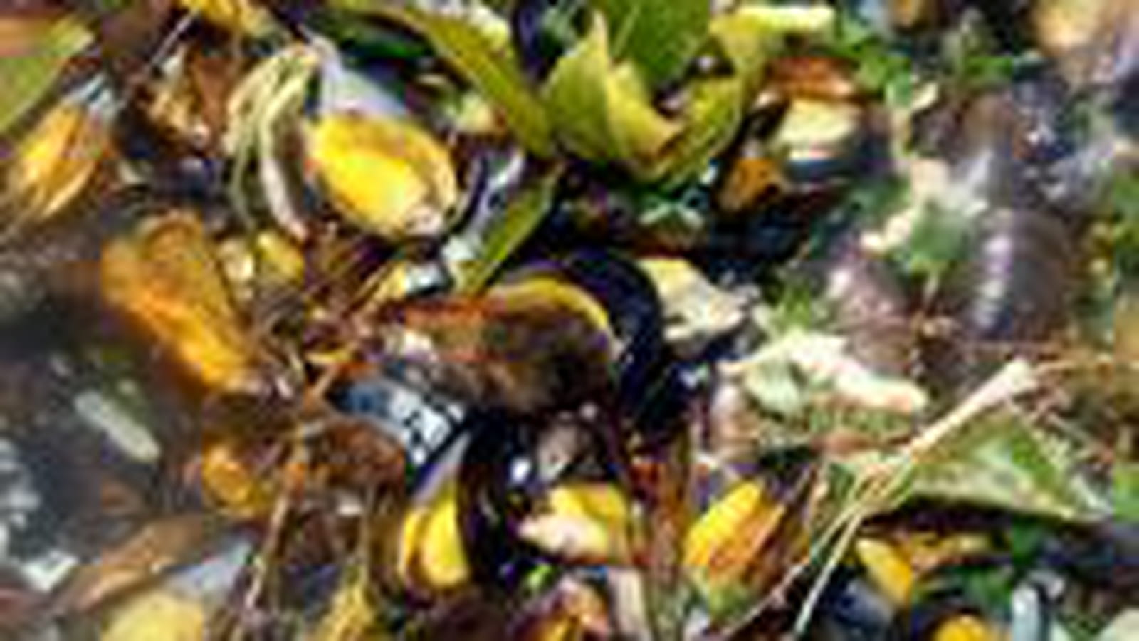 Moules cuites au four