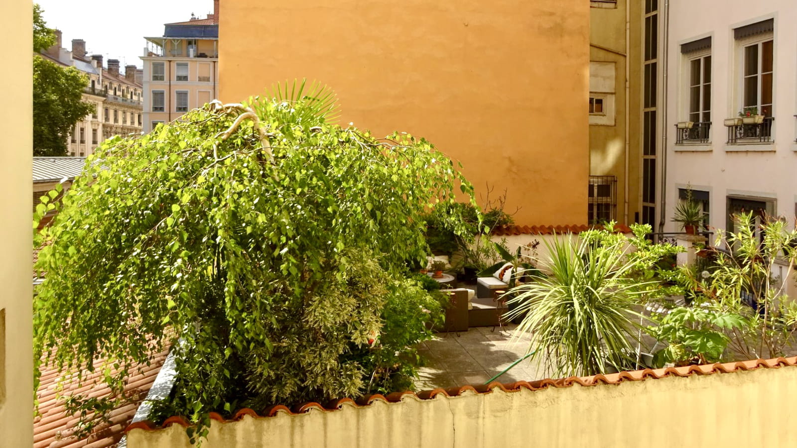 Vue cour