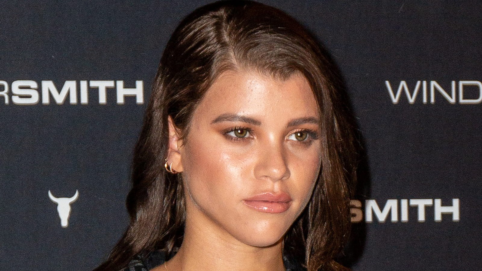 Sofia Richie en brune
