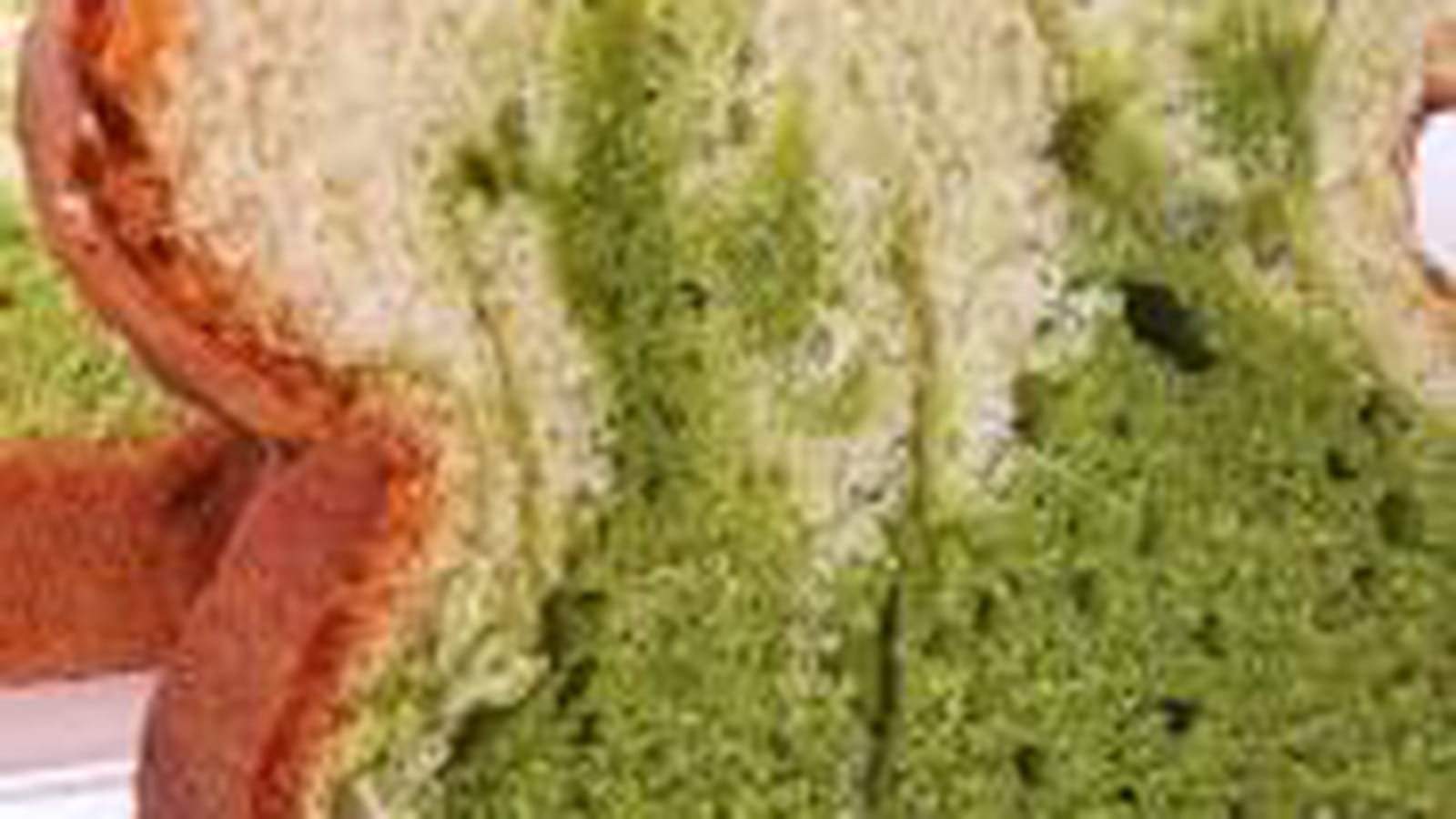 Cake marbré pistache et amande