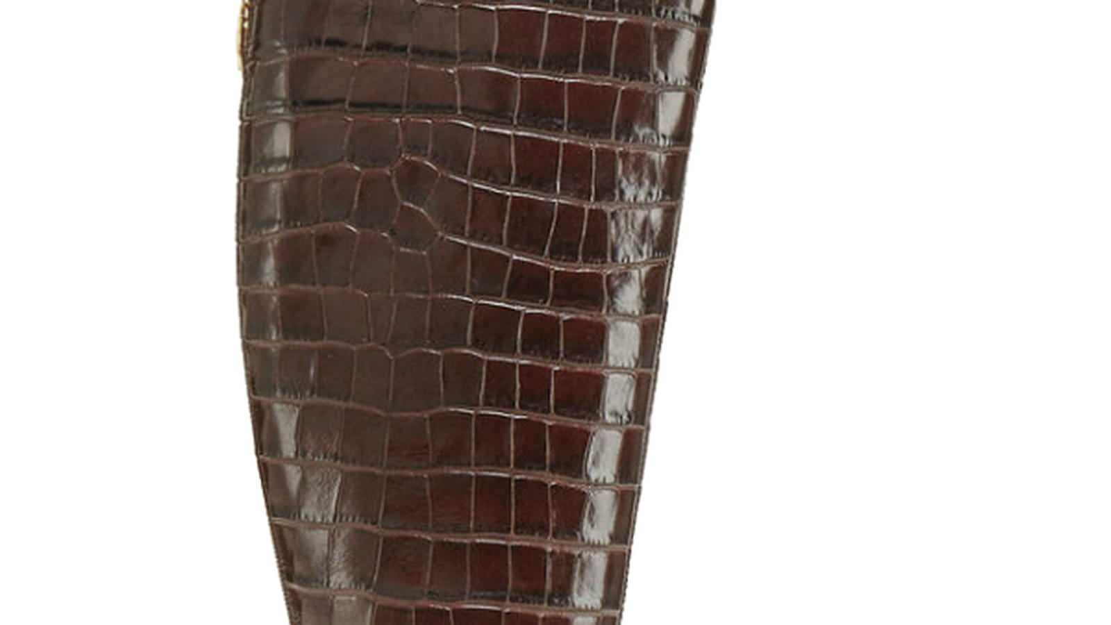 Bottes Cosmoparis
