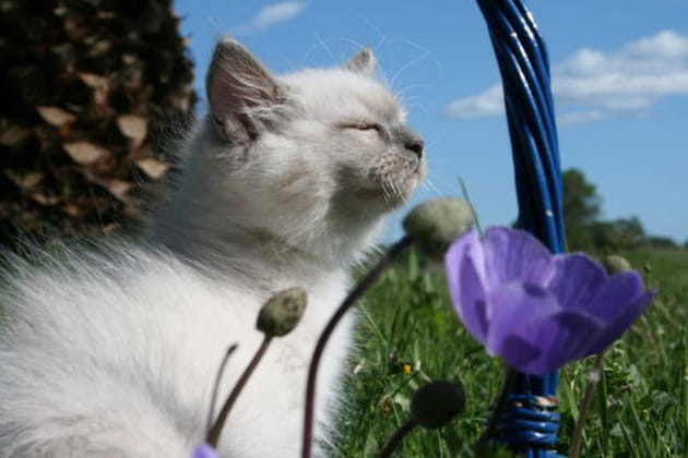 Qu'il fait bon d'&ecirc;tre au soleil