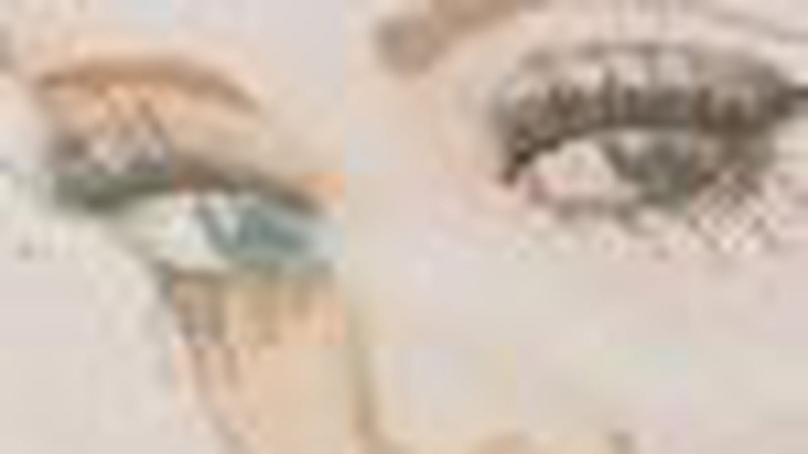 Cils