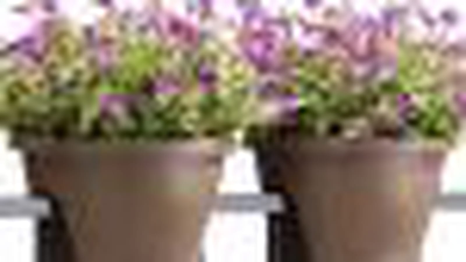 Pots pour balcon