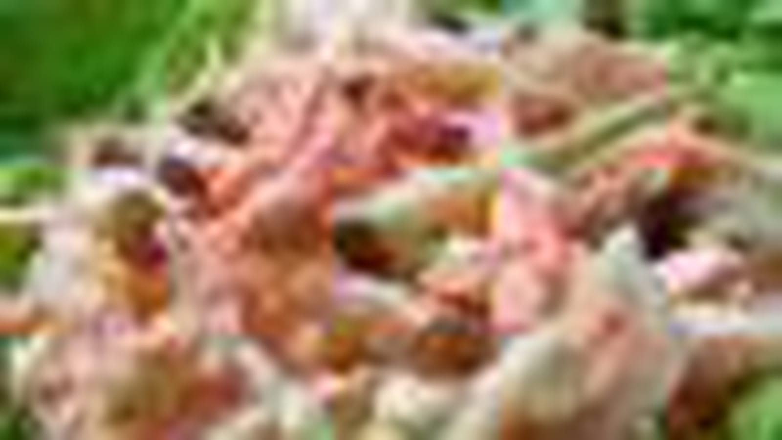 Salade de chou coleslaw