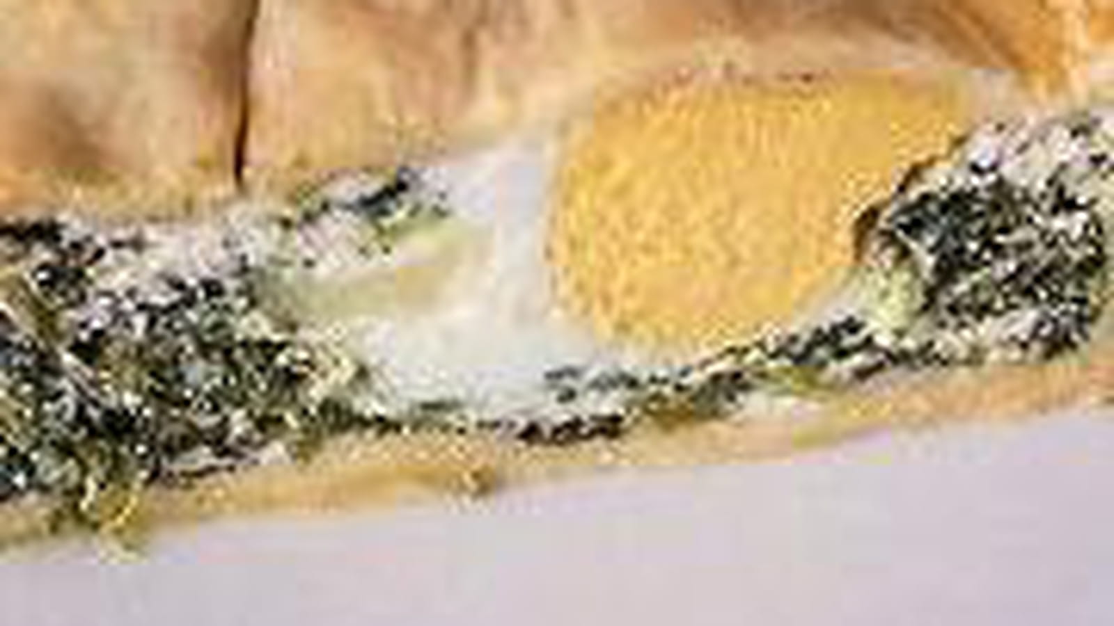 Tourte aux blettes