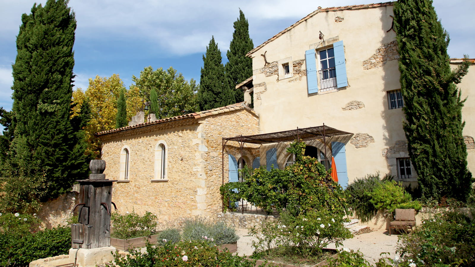 Grands arbres