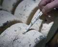 Roquefort Soci&eacute;t&eacute;&reg; : les coulisses de sa fabrication