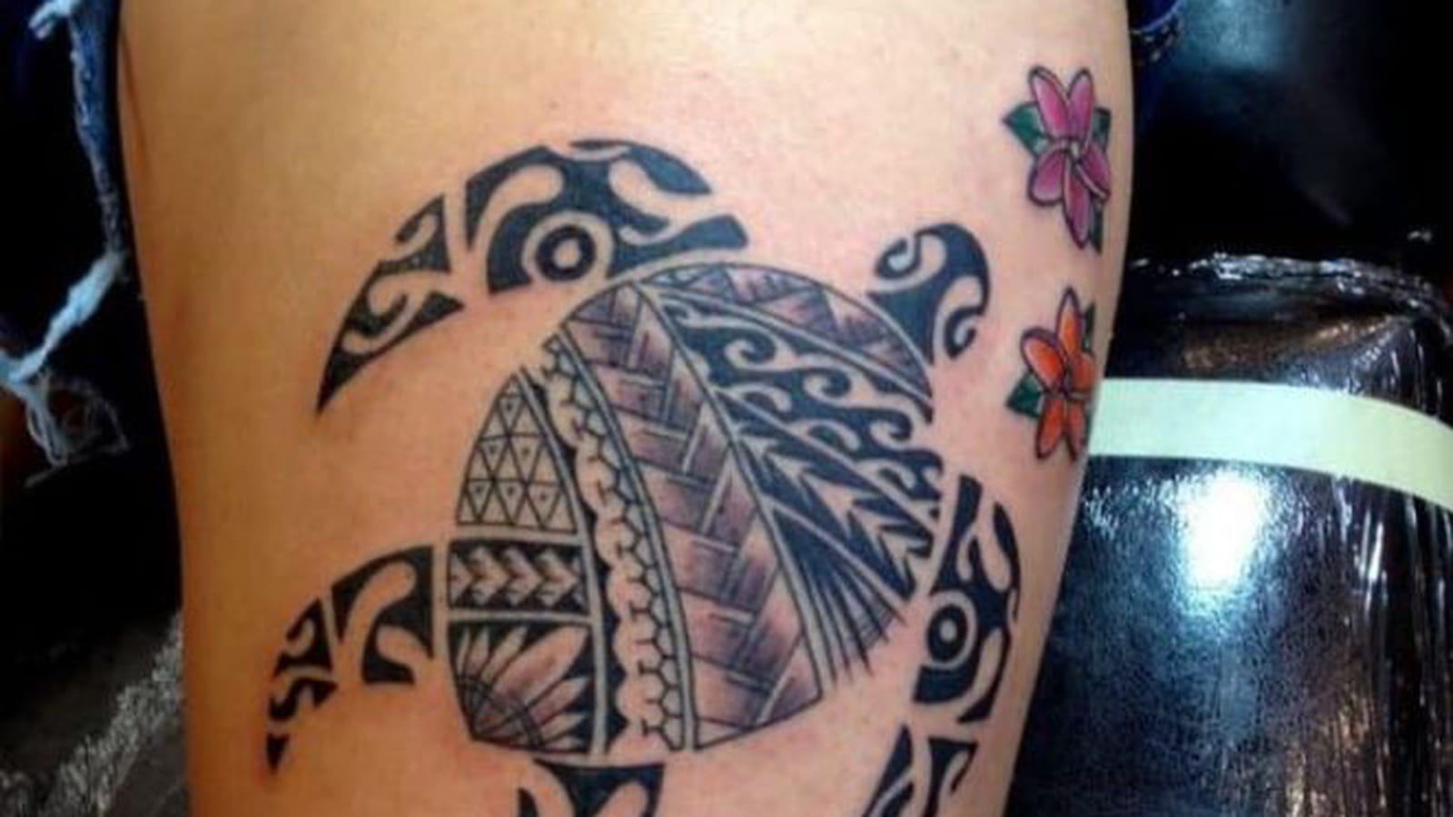 Tortue maori