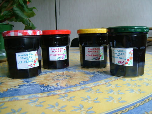 Gelée de sureau et de mûres
